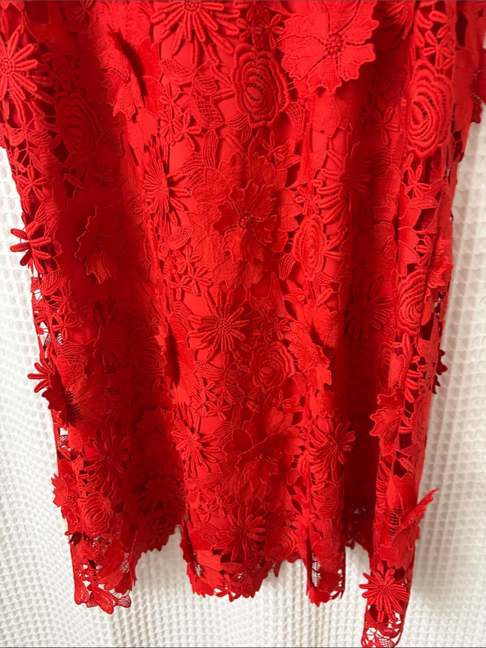 Tuckernuck Red Guipure Lace Blythe Dress Size Large - Picture 8 of 13
